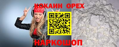 молекула духа Партизанск