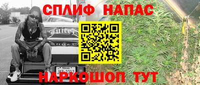 молекула духа Партизанск