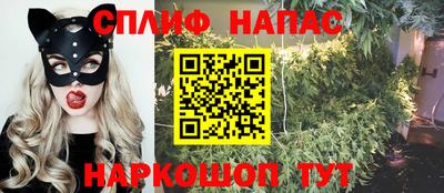 молекула духа Партизанск